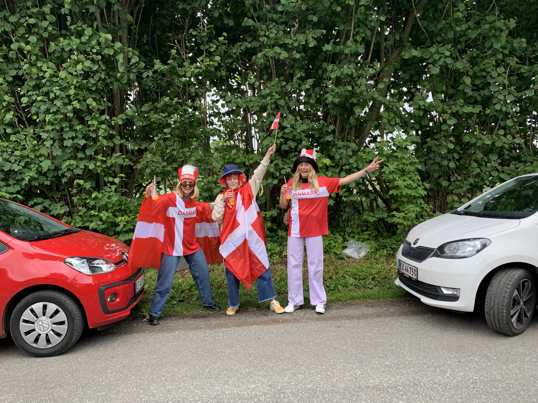 Heppe, danmarksflag.jpeg