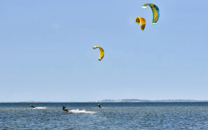 630-800px.jpg