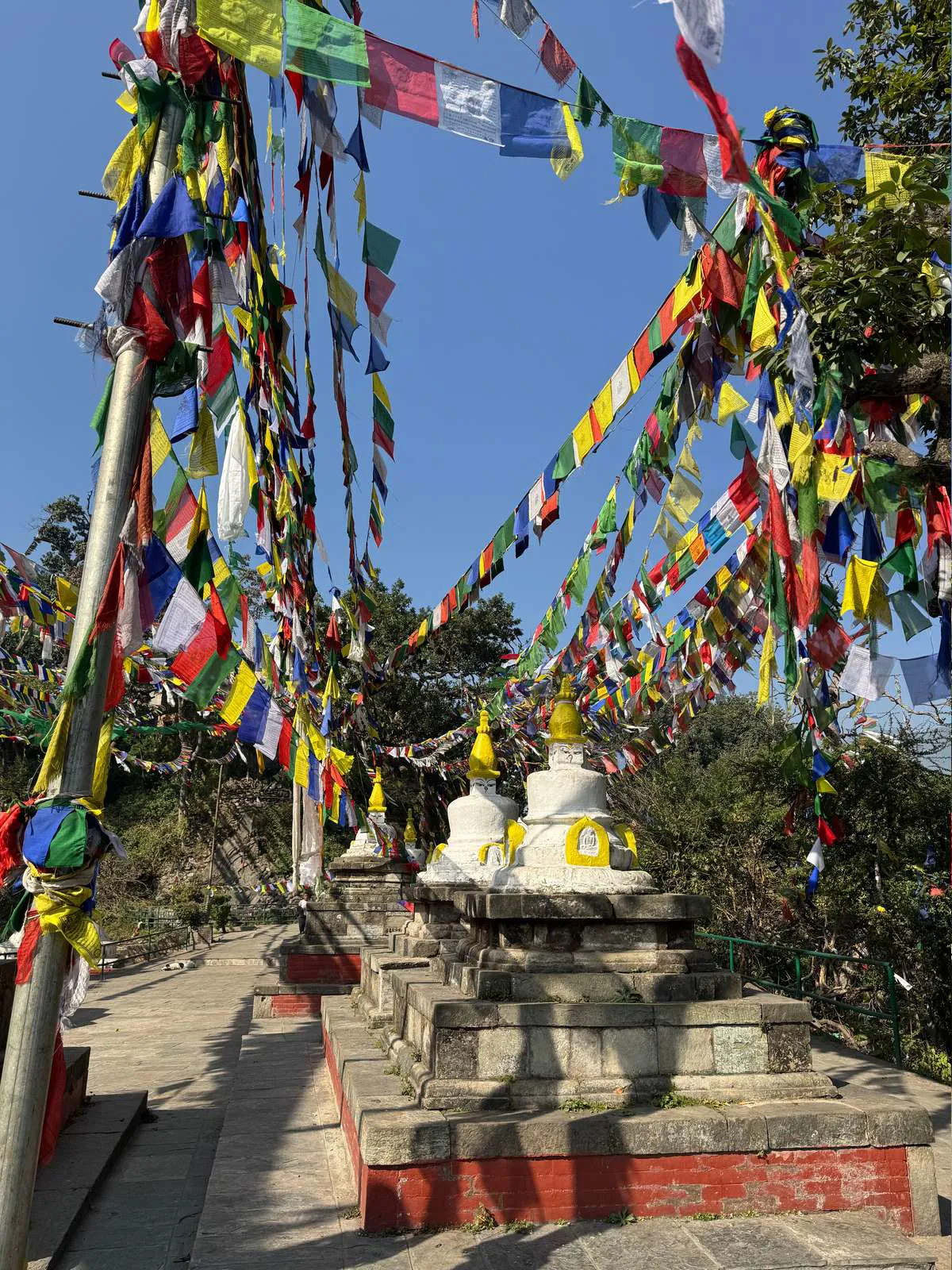 Nepal_Mount Everest_flag.jpg