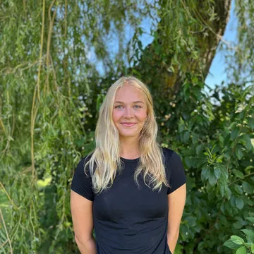 signe bang.jpg
