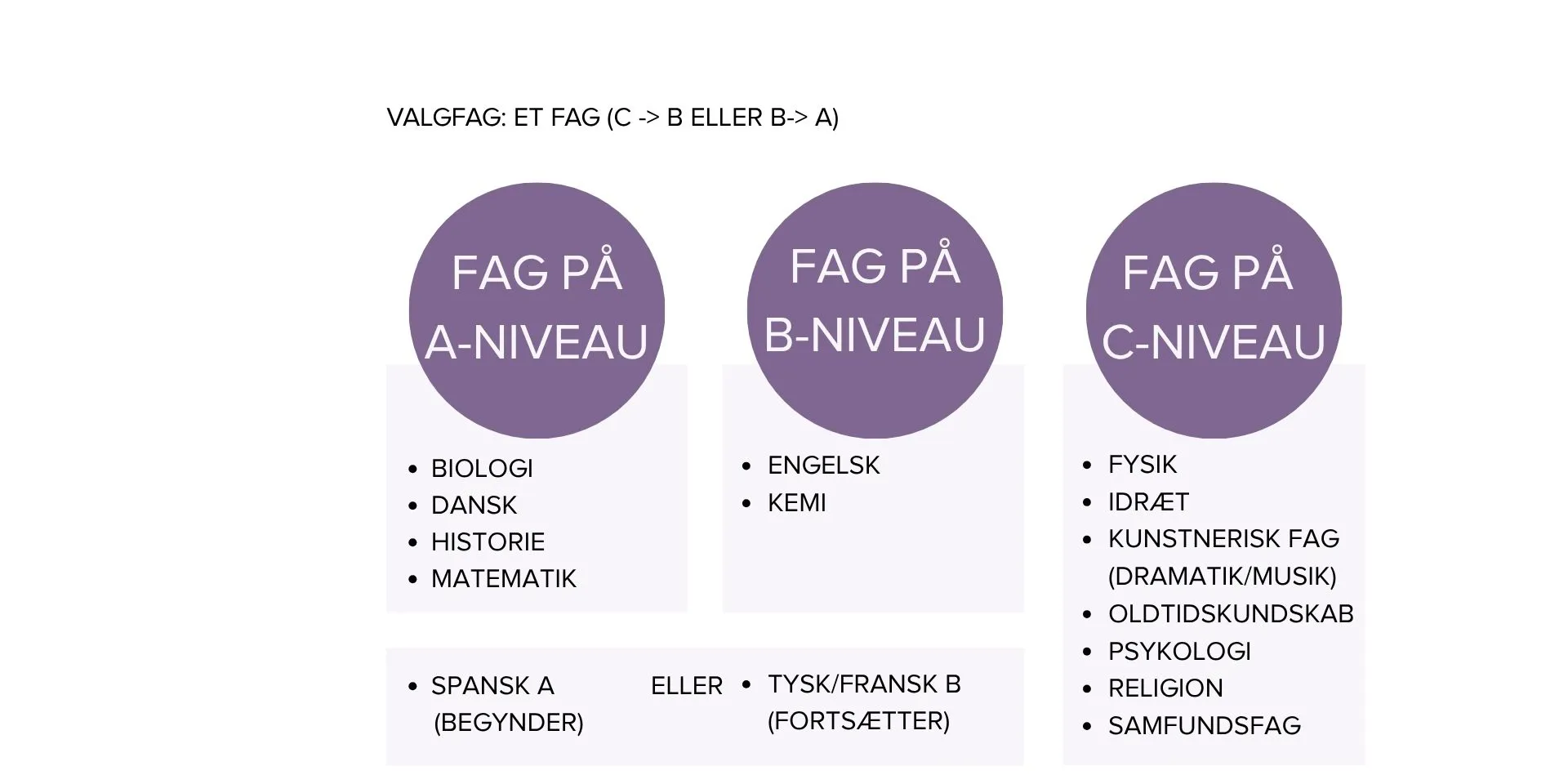 Grafisk overblik over studieretning en biologi A, kemi A 