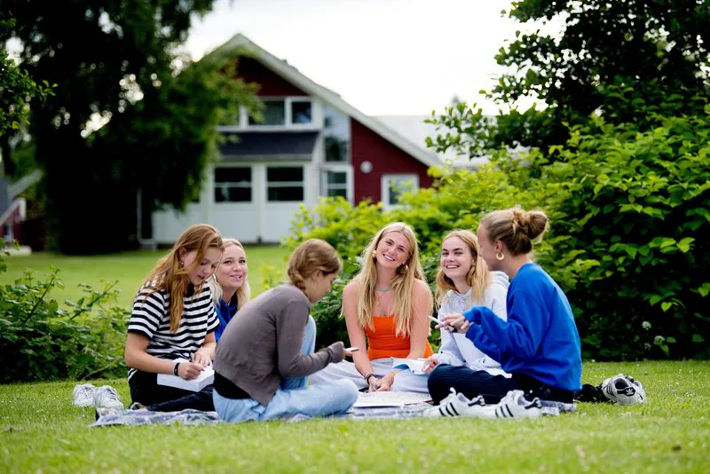 unge mennesker, social, efterskole