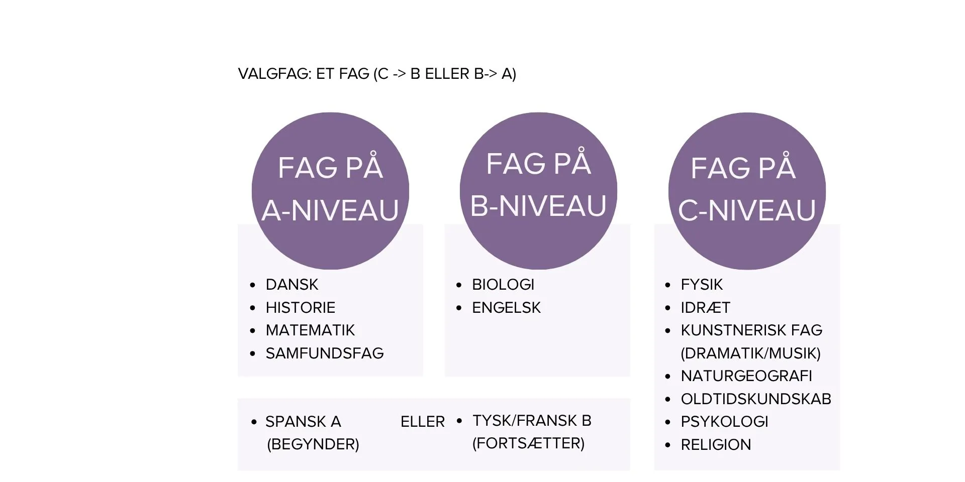 Grafisk overblik over studieretning en samfundsfag A, matematik A
