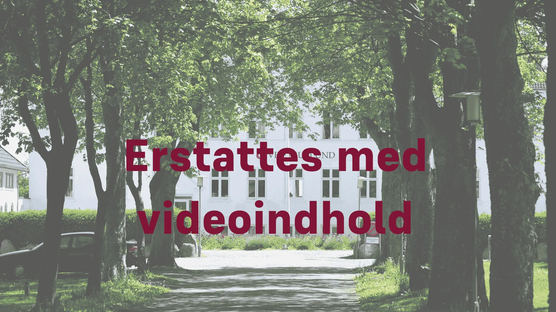 Header videoinhold .png