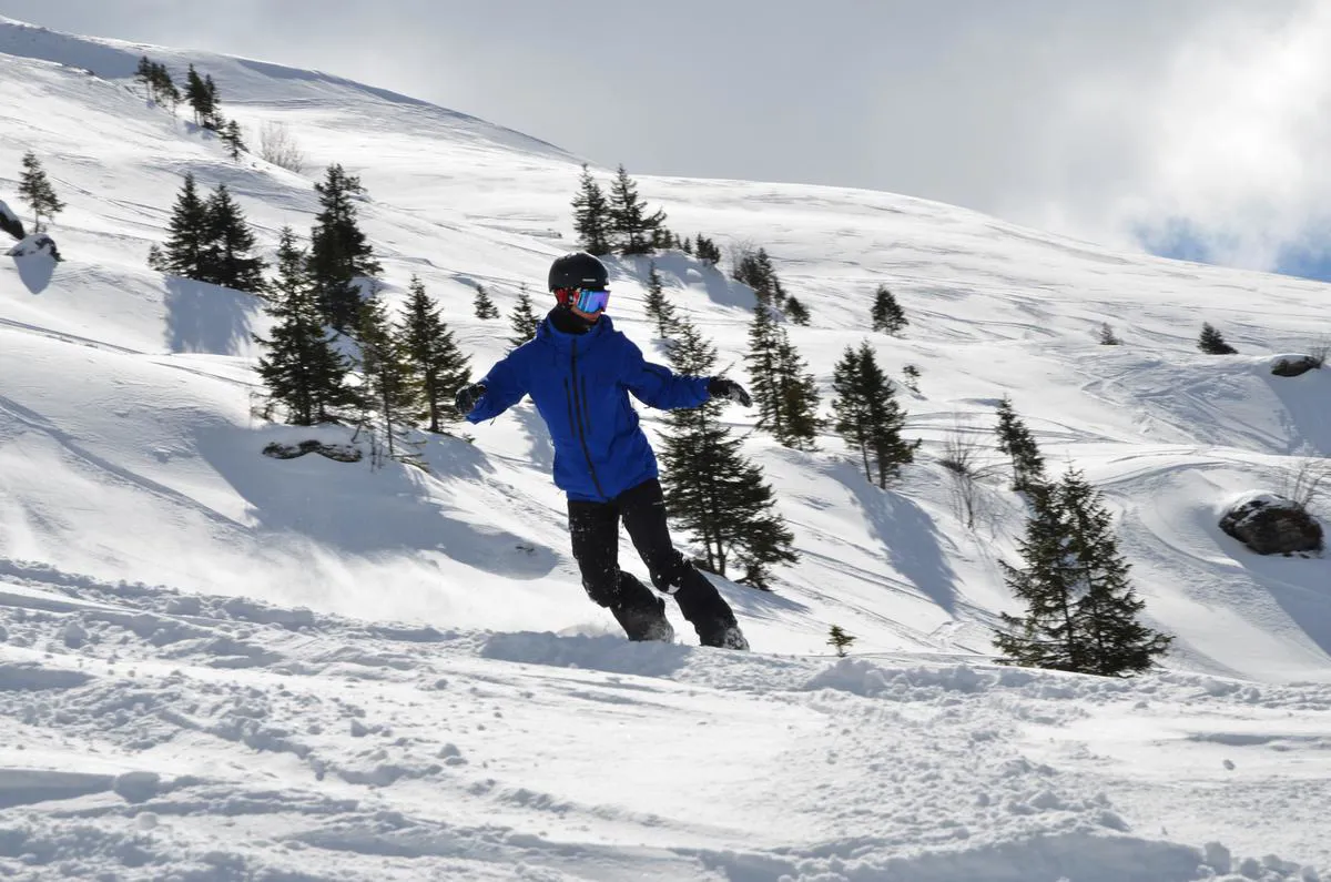 Snowboard