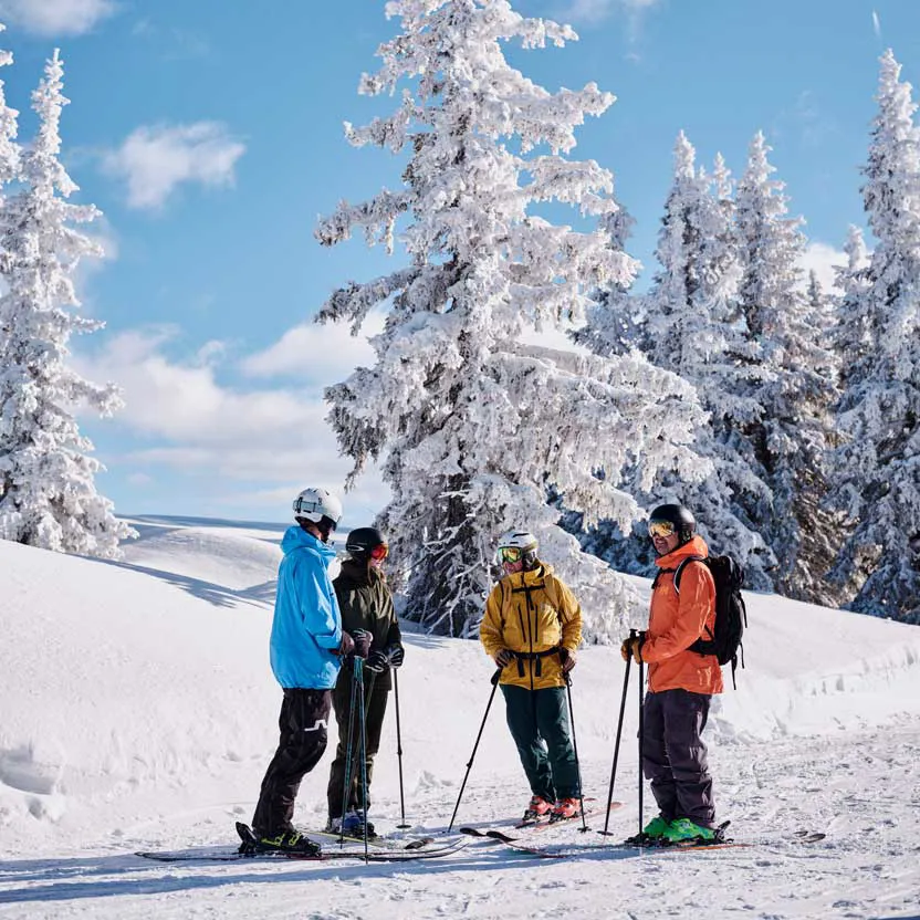 hoejmark, ski, højskole.jpg