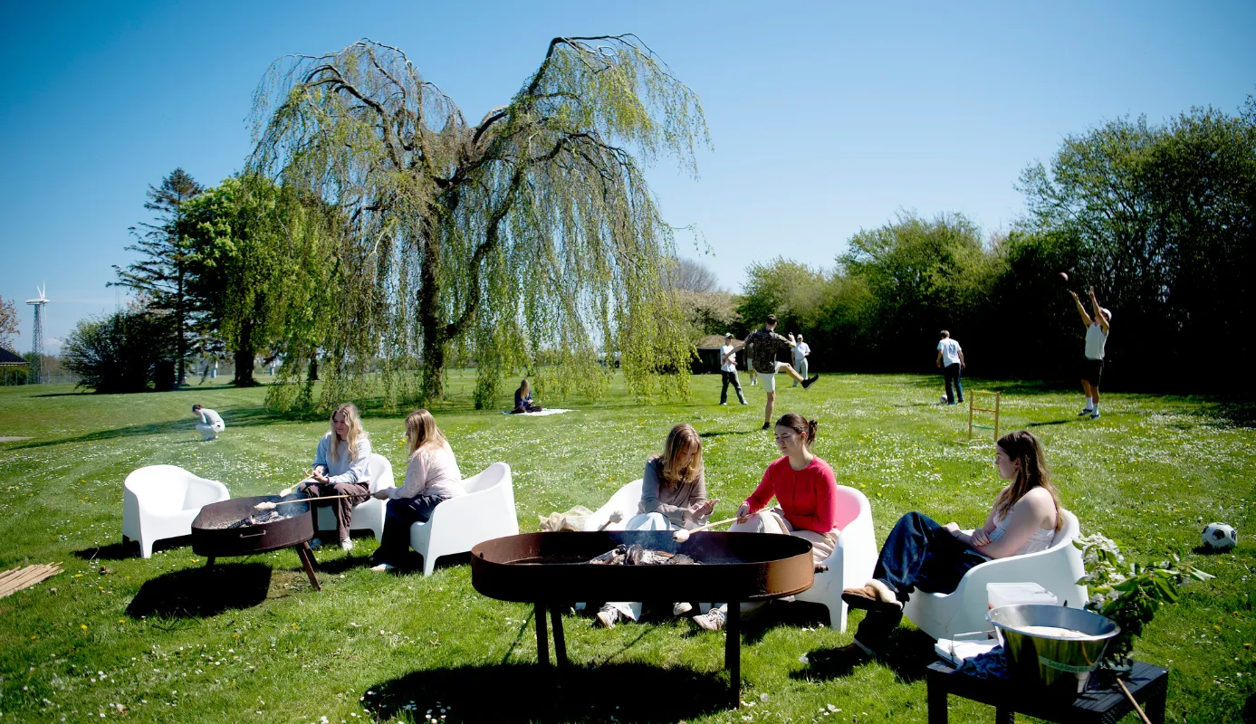 fællesskab, hygge, udendørs, sol.png