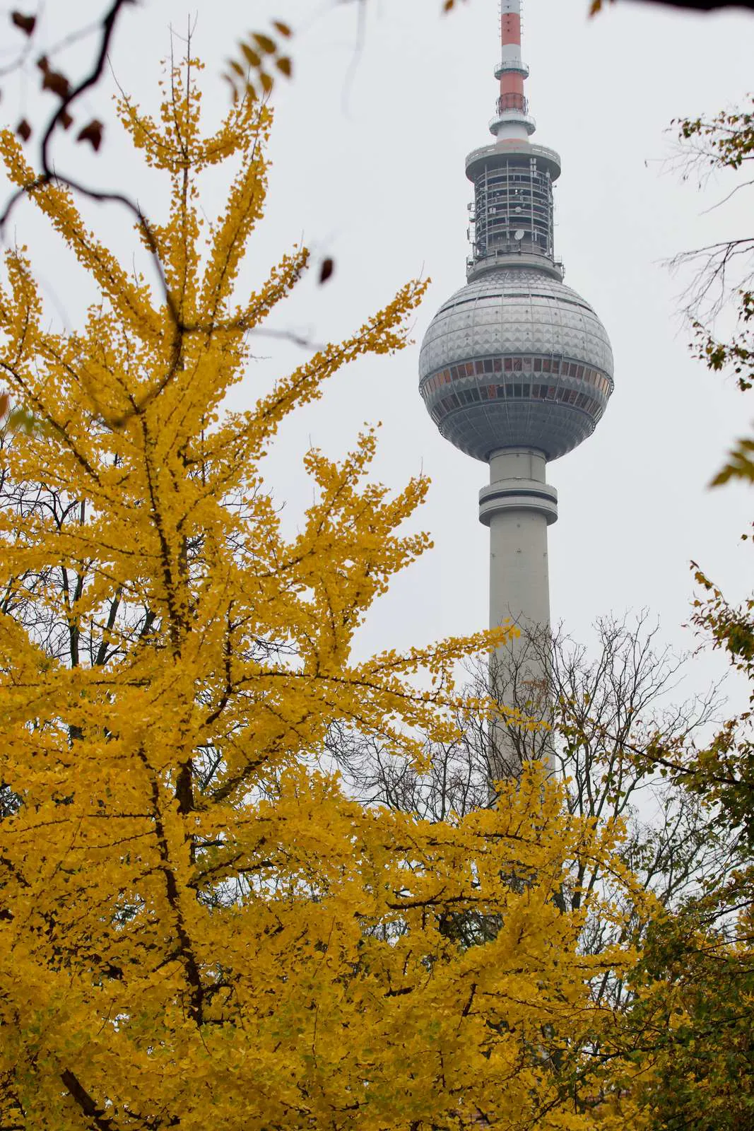 Et billede af Fernsehturm i Berlin en eftersårsdag