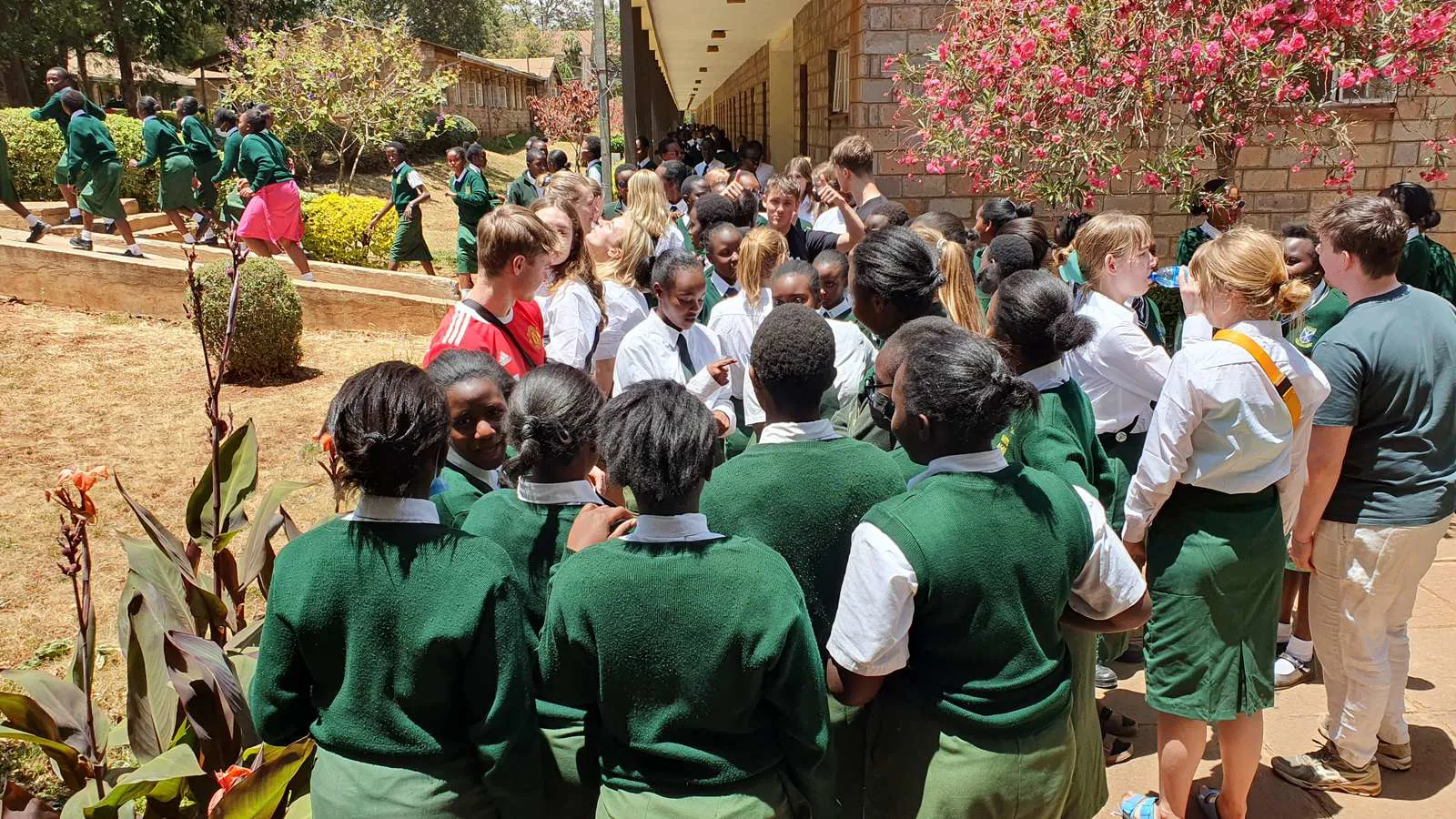 Uganda med oure gymnasium et billede af en masse elever