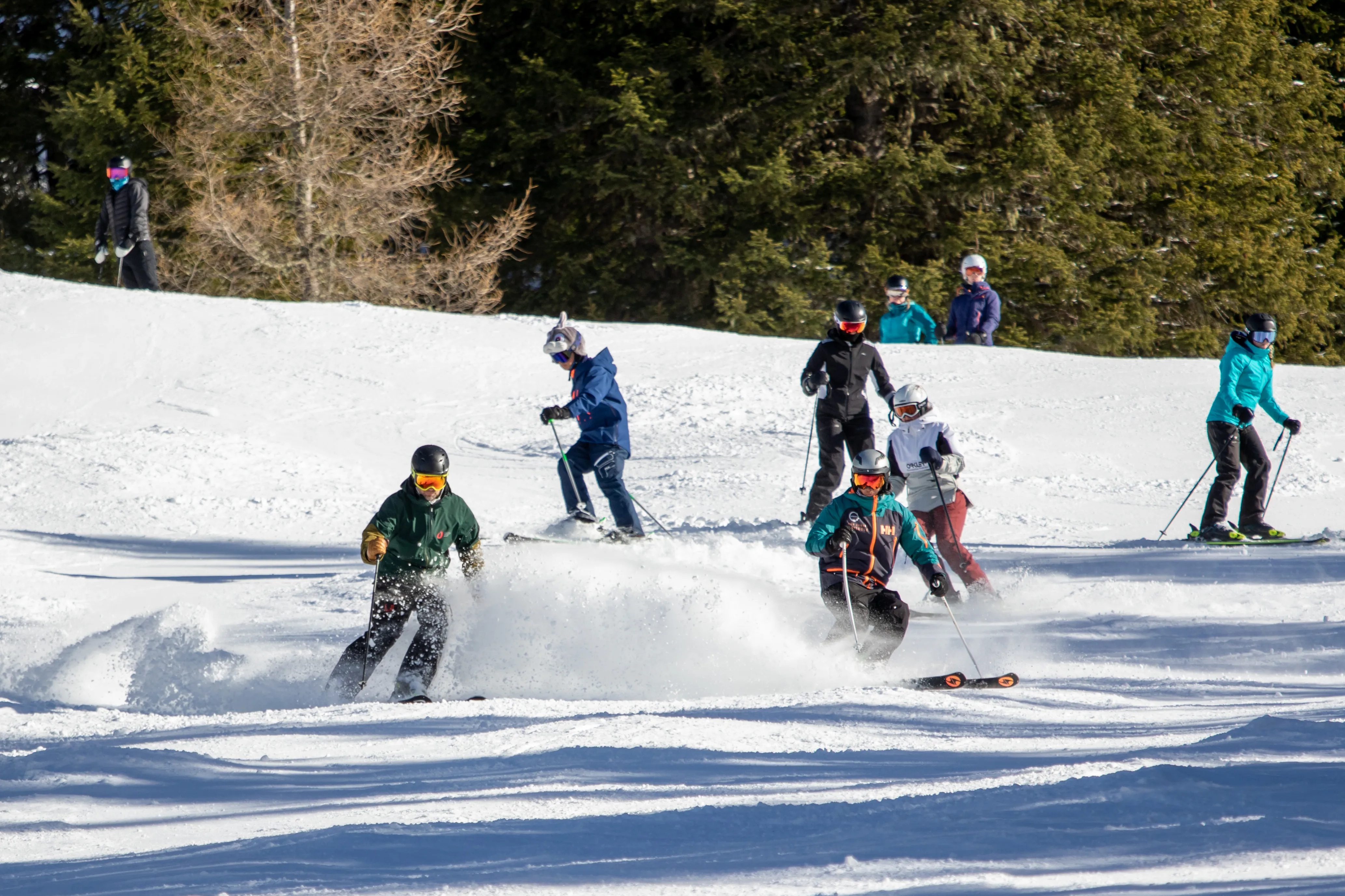 Ski, elever, ungemennesker, efterskole