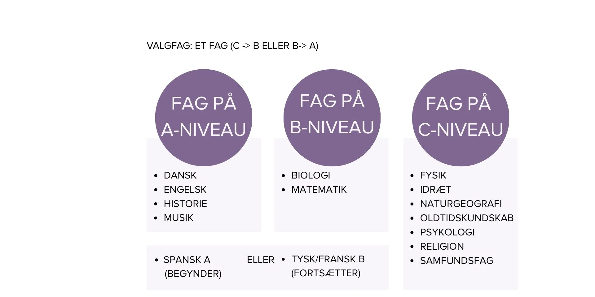 Grafisk overblik over studieretning en musik A, engelsk A 